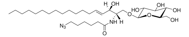 C6(6-azido) GluCer Avanti Research&#8482; - A Croda Brand 860834P, powder