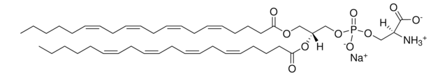 20:4 PS 1,2-diarachidonoyl-sn-glycero-3-phospho-L-serine (sodium salt), chloroform