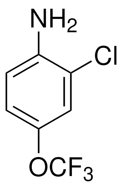 2-Chloro-4-(trifluoromethoxy)aniline 97%