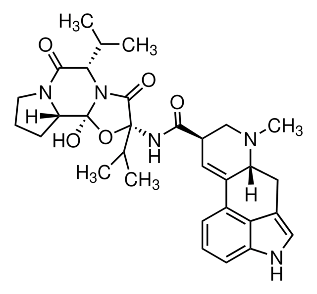 Ergocornine &gt;95%, solid