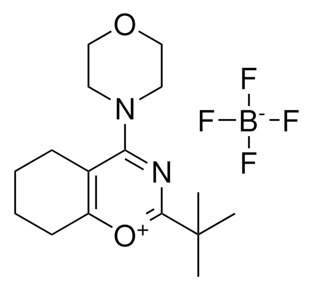 2-TERT-BUTYL-4-MORPHOLIN-4-YL-4H-BENZO(E)(1,3)OXAZIN-1-YLIUM, TETRAFLUORO BORATE AldrichCPR