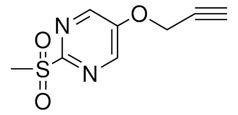 217492 | Sigma-Aldrich