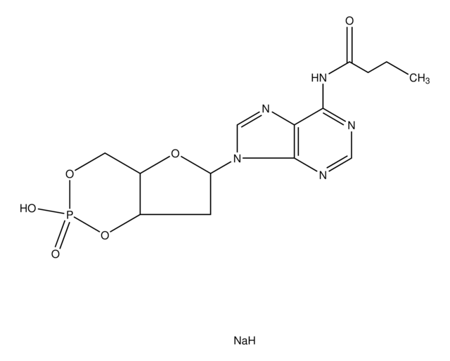 N6-Monobutyryl-2&#8242;-deoxyadenosine 3&#8242;:5&#8242;-cyclic monophosphate sodium salt