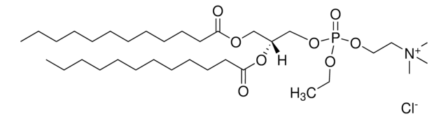 12:0 EPC (Cl Salt) Avanti Research&#8482; - A Croda Brand 890700P, powder