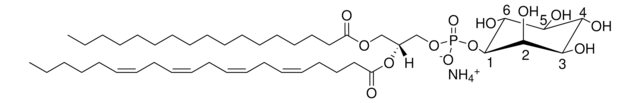 17:0-20:4 PI Avanti Research&#8482; - A Croda Brand LM1502, methanol solution