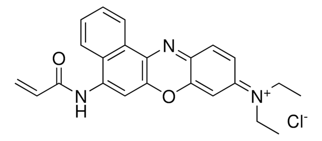 Nile blue acrylamide