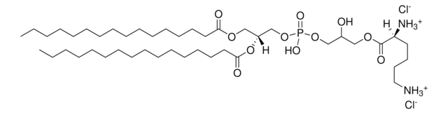 16:0 Lysyl PG Avanti Research&#8482; - A Croda Brand