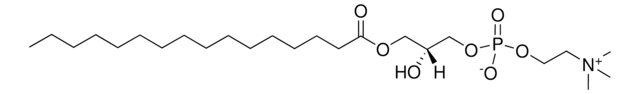 Egg Lyso PC Avanti Research&#8482; - A Croda Brand 830071P, powder