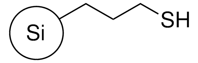 QuadraSil&#174; MP extent of labeling: 1.0-1.5&#160;mmol/g loading