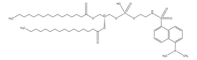 L-&#945;-Phosphatidylethanolamine, dipalmitoyl, N-dansyl 2&#160;mg/mL in chloroform/methanol (4:1), ~98%