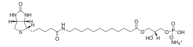 12:0 Biotinyl LPA Avanti Research&#8482; - A Croda Brand 860566P, powder