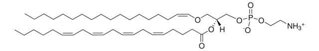 C18(Plasm)-20:4 PE 1-(1Z-octadecenyl)-2-arachidonoyl-sn-glycero-3-phosphoethanolamine, chloroform