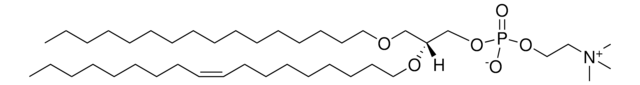 16:0-18:1 Diether PC Avanti Research&#8482; - A Croda Brand 999983P, powder