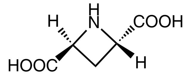 trans-Azetidine-2,4-dicarboxylic acid solid