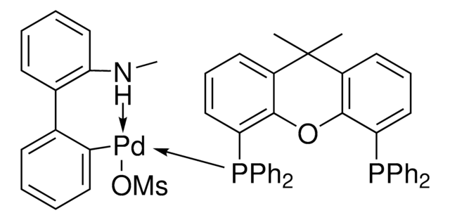 XantPhos Pd G4 ChemBeads