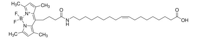 TopFluor&#8482; Oleic Acid Avanti Research&#8482; - A Croda Brand, chloroform solution