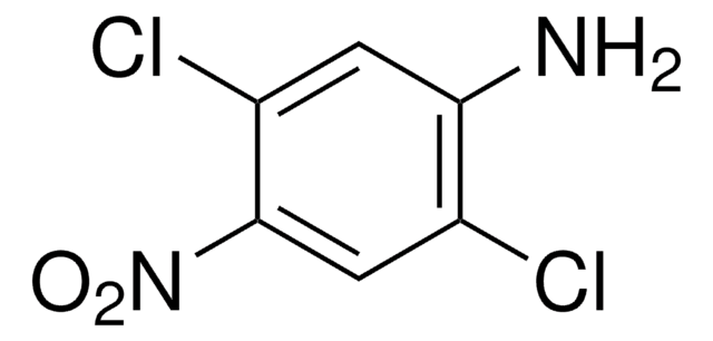 2,5-Dichloro-4-nitroaniline 97%