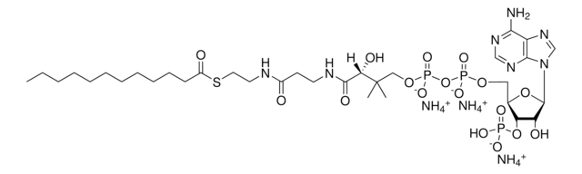 12:0 Coenzyme A Avanti Research&#8482; - A Croda Brand 870712P, powder