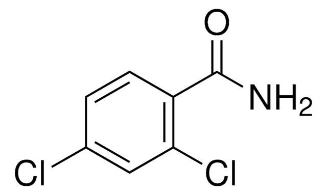 2,4-Dichlorobenzamide 98%