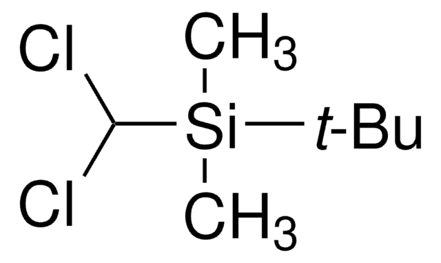 tert-Butyl(dichloromethyl)dimethylsilane 98%