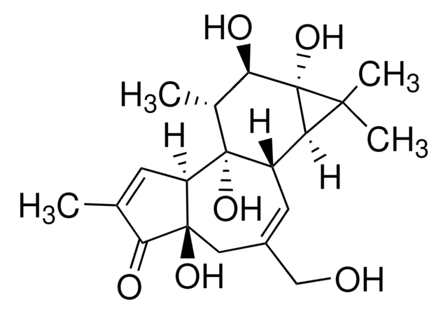 Phorbol &#8805;98% (TLC), powder