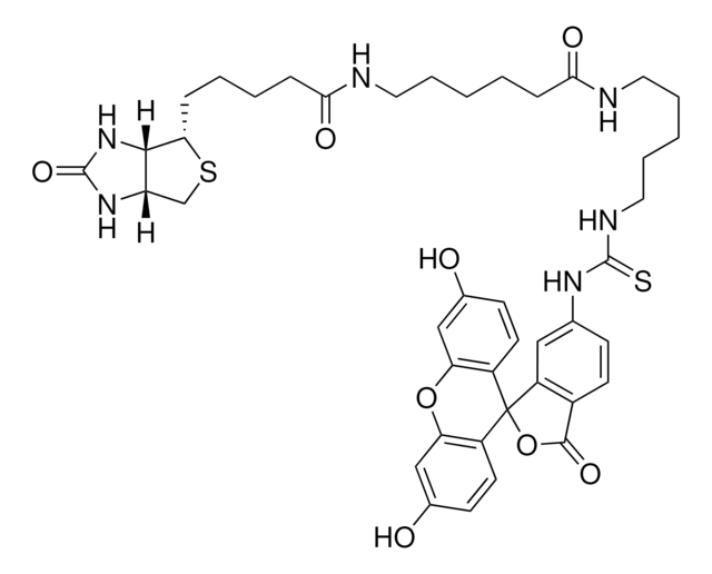 5(6)-(Biotinamidohexanoylamido)pentylthioureidylfluorescein &#8805;90%