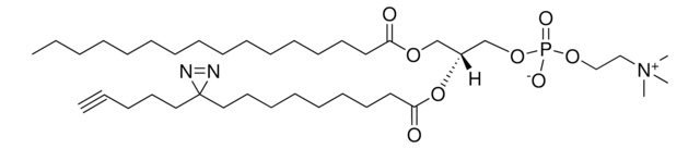 16:0-pacFA PC Avanti Research&#8482; - A Croda Brand 900407P, powder