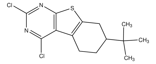 7-tert-Butyl-2,4-dichloro-5,6,7,8-tetrahydrobenzothieno[2,3-d]pyrimidine