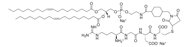 DOPE-RGD Lipid Avanti Research&#8482; - A Croda Brand, powder