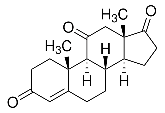 肾上腺甾酮 98%