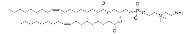 18:1 aminoethyl PC powder