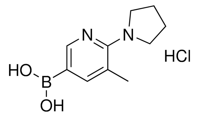 (5-Methyl-6-(pyrrolidin-1-yl)pyridin-3-yl)boronic acid hydrochloride AldrichCPR