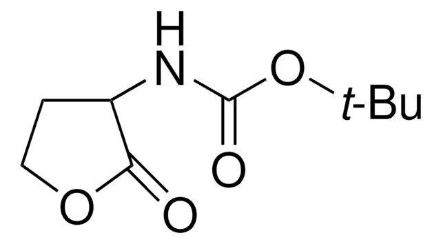 tert-Butyl (tetrahydro-2-oxo-3-furanyl)carbamate 98%