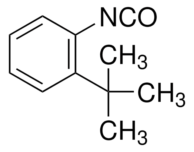 2-tert-Butylphenyl isocyanate 98%