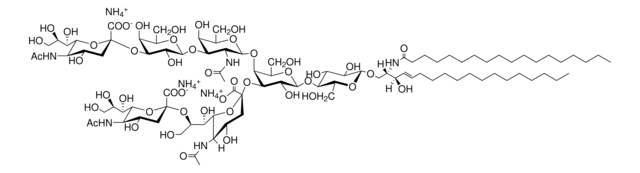 Ganglioside GT1b Avanti Research&#8482; - A Croda Brand