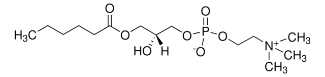 1-Hexanoyl-sn-glycero-3-phosphocholine ~99%