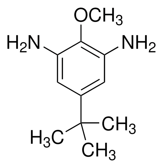 4-tert-Butyl-2,6-diaminoanisole 97%