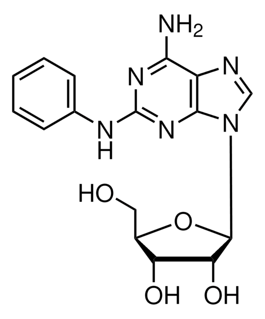 2-Phenylaminoadenosine &gt;97%, solid