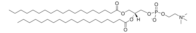 19:0 PC 1,2-dinonadecanoyl-sn-glycero-3-phosphocholine, chloroform