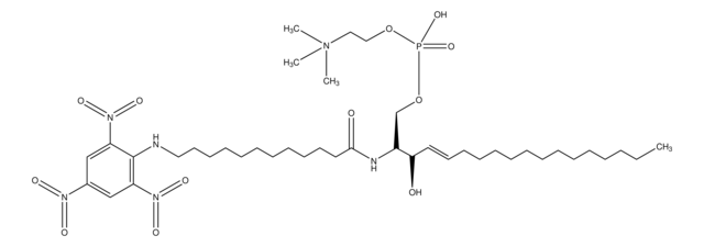 TNPAL-Sphingomyelin 1&#160;mg/mL in chloroform/methanol (2:1)