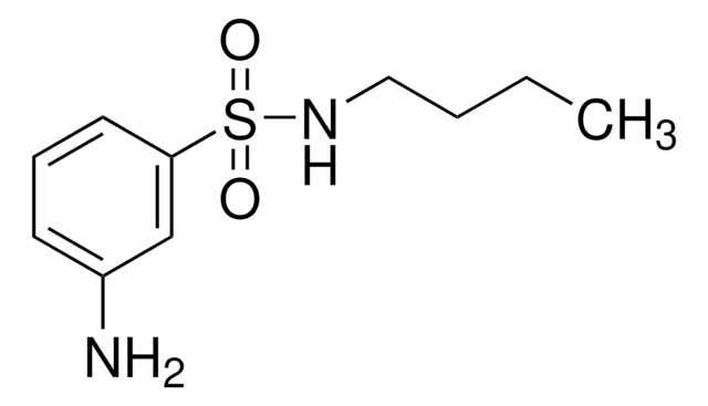 3-Amino-N-butylbenzenesulfonamide 90%, technical grade