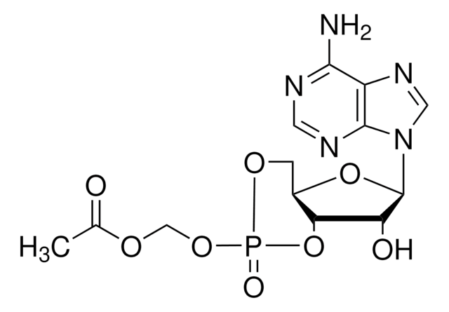 Adenosine 3&#8242;,5&#8242;-cyclic monophosphate acetoxymethyl ester &gt;97% (HPLC)