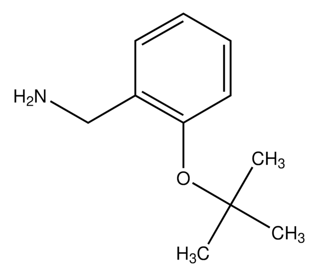 (2-tert-Butoxyphenyl)methanamine