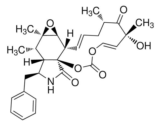 Cytochalasin E from Aspergillus clavatus