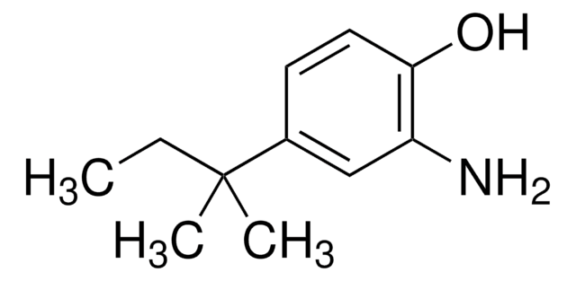 2-Amino-4-tert-amylphenol 97%