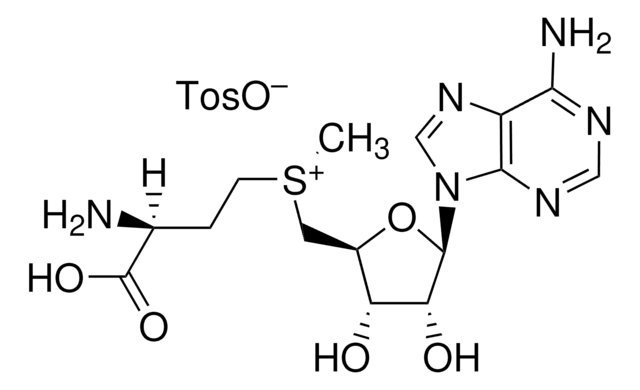 S-(5&#8242;-Adenosyl)-L-methionine p-toluenesulfonate &#8805;85% (HPCE)