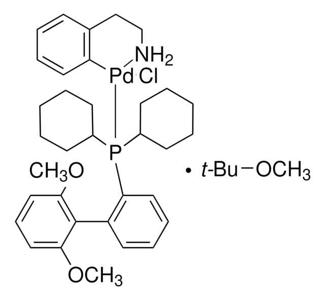 Chloro-(2-dicyclohexylphosphino-2&#8242;,6&#8242;-dimethoxy-1,1&#8242;-biphenyl)[2-(2-aminoethylphenyl)]-palladium(II) - Methyl-t-butylether Addukt