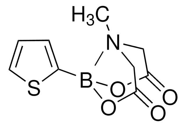 2-Thiopheneboronic acid MIDA ester