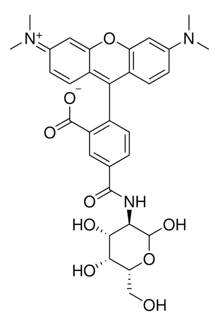 Rhodamine Labeled D-galactosamine Suitable for fluorescent microbial imaging