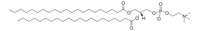 21:0 PC 1,2-diheneicosanoyl-sn-glycero-3-phosphocholine, powder